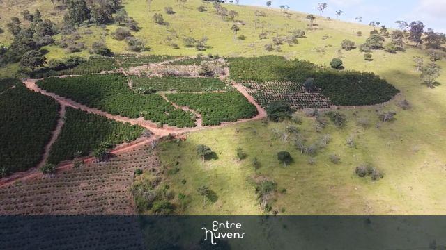 Vida na fazenda; granja de porcos, café e belezas naturais — vídeo aéreo de Natércia