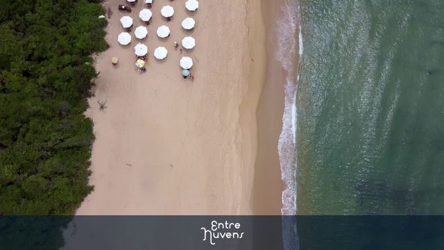Visão de pássaro sobre faixa de areia entre a floresta e o mar