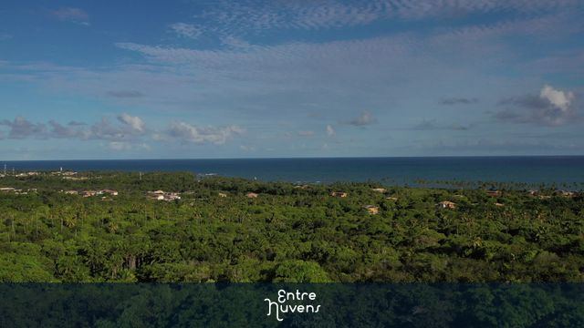 Vista aérea da floresta e mar ao fundo passando por dentro de janela — vídeo aéreo de Mata de São João