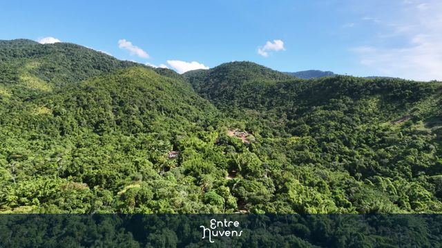 Vista Aérea da Mata Atlântica e Natureza Preservada — vídeo aéreo de Ilhabela
