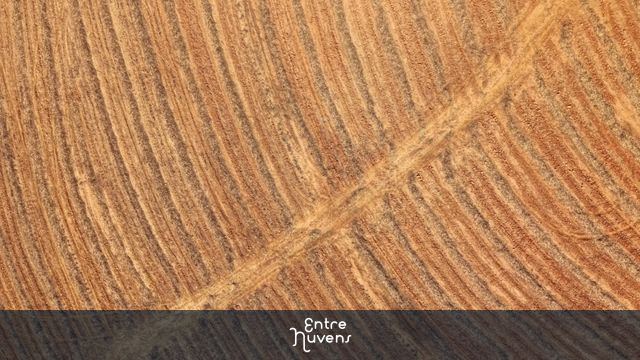 Vista aérea de campo cultivado: Preparação do solo para o plantio — vídeo aéreo de Sorocaba