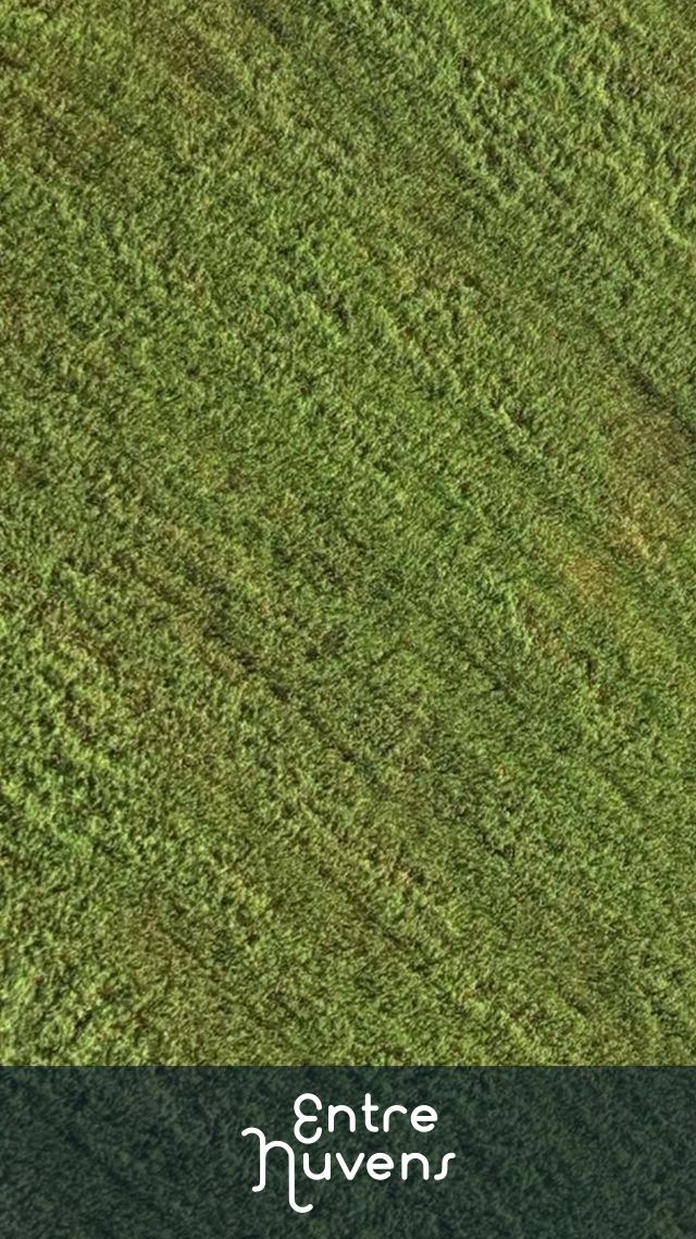 Vista aérea de campo verde com padrões agrícolas — vídeo aéreo de Sorocaba