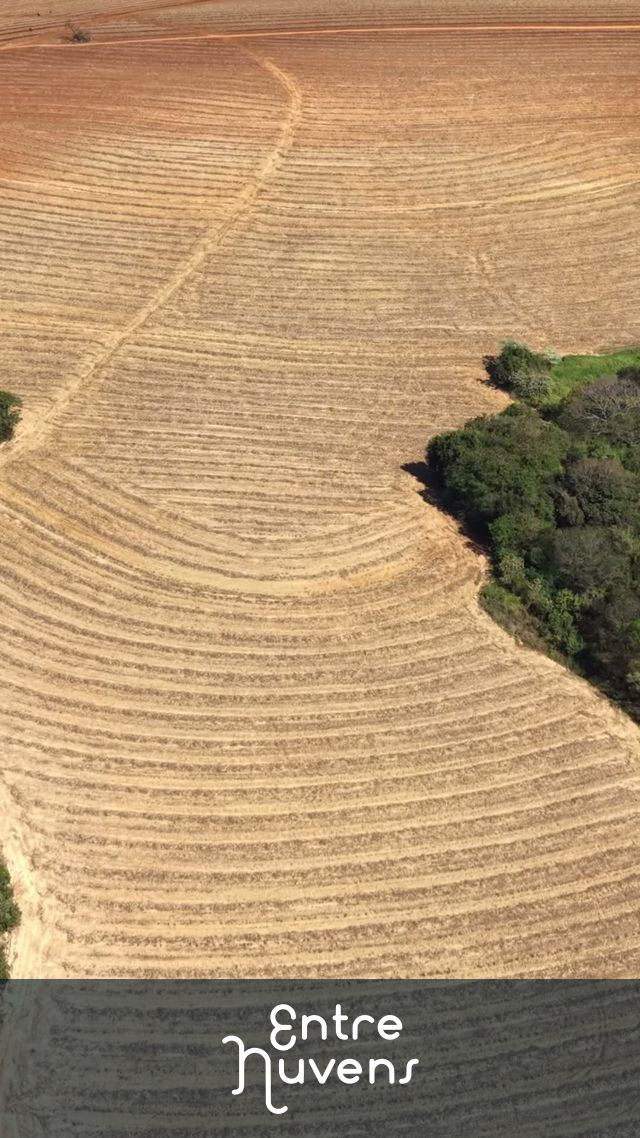 Vista Aérea de Curvas de Nível em Solo Agrícola Seco — vídeo aéreo de Sorocaba