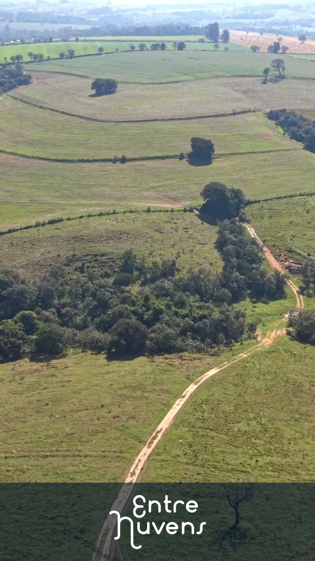 Vista Aérea de Paisagem Rural: Campos Verdes e Estradas de Terra