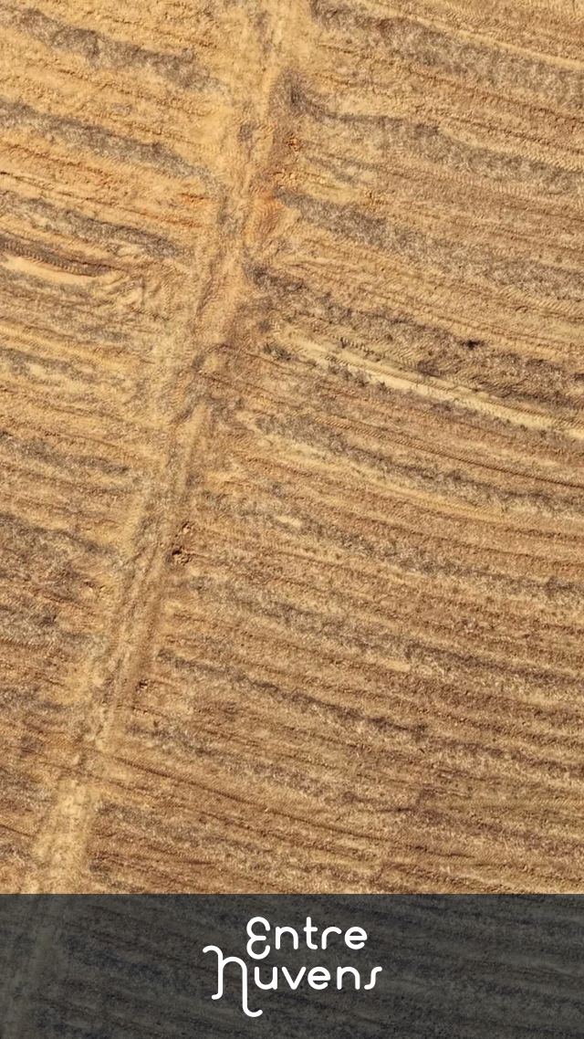 Vista Aérea de Plantação Arada: Padrões Geométricos na Terra — vídeo aéreo de Sorocaba