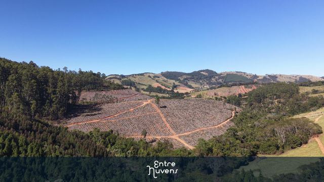 Vista aérea de plantação de eucalipto e manejo florestal em região montanhosa — vídeo aéreo de Camanducaia