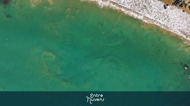Vista Aérea Espetacular de Praia com Águas Cristalinas — vídeo aéreo de Ilhabela