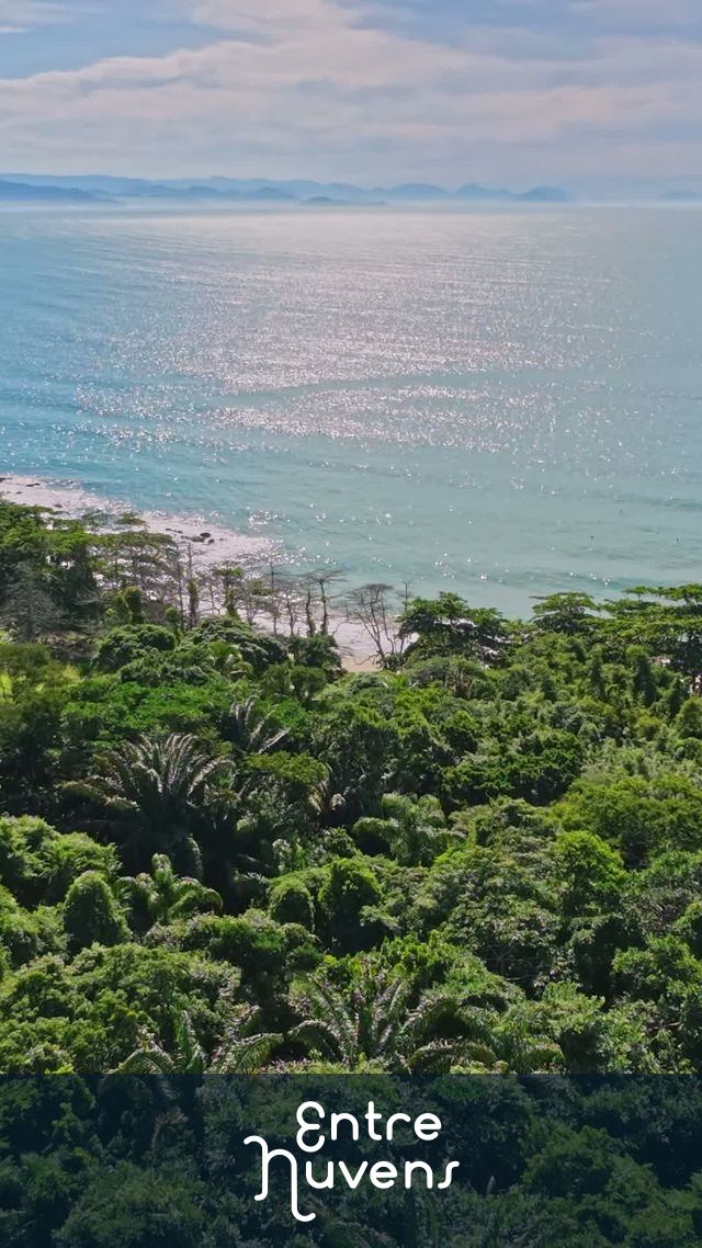 Vista Aérea Paradisíaca: Floresta Tropical Encontra o Mar Azul Cintilante — vídeo aéreo de Ilhabela