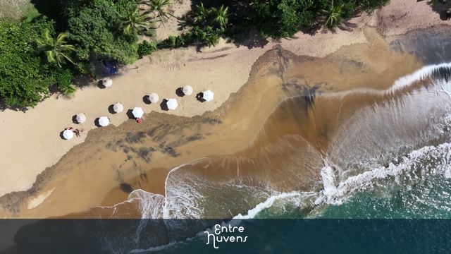 Vista Aérea Paraíso Tropical: Drone Sobre Praia Brasileira — vídeo aéreo de Ilhabela