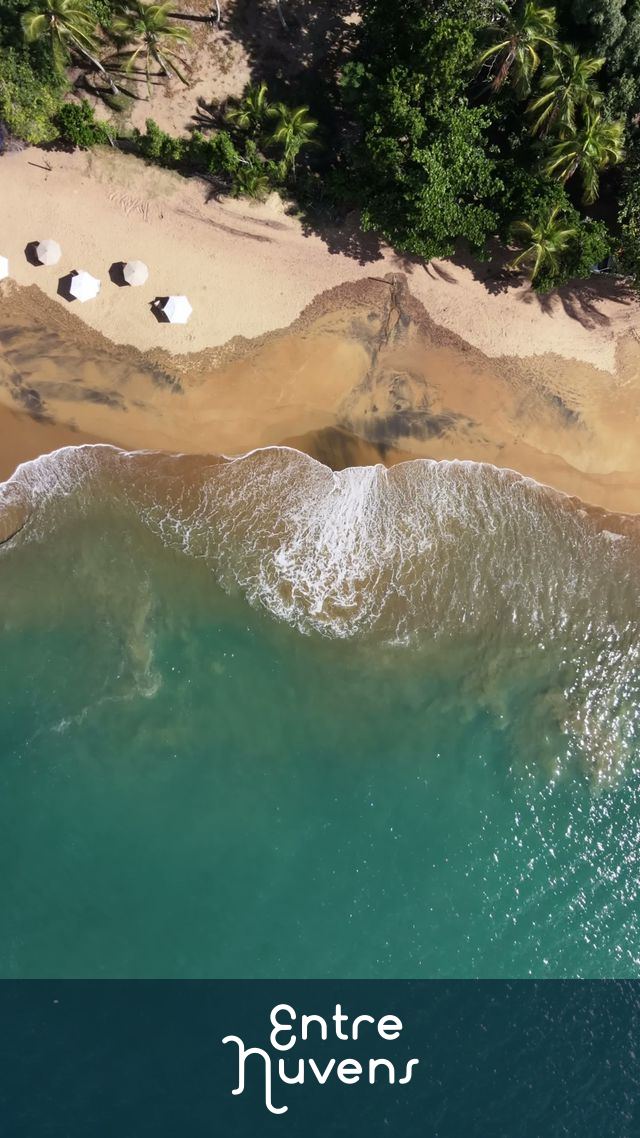 Vista Aérea Paraíso Tropical: Drone Sobre Praia Brasileira