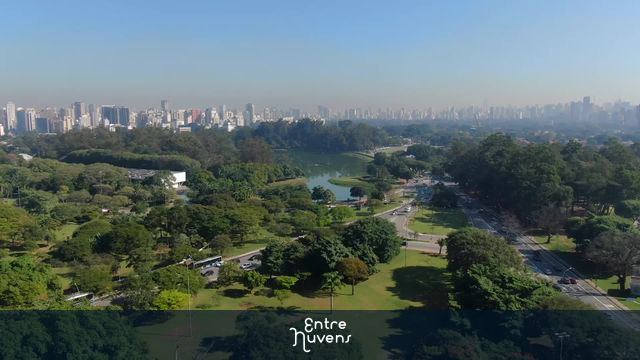 Vista da Lagoa do Parque do Ibirapuera 