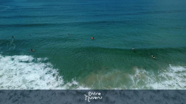 Vista de cima da Praia Vermelha do Centro, Ubatuba, com surfistas, banhistas e ondas na água transparente do mar 