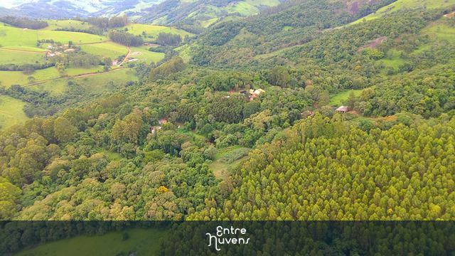 Vista de grande área verde de Itapeva, MG