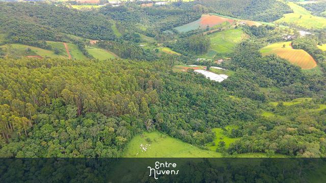 Vista de grande área verde de Itapeva, MG