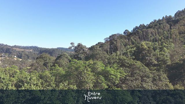 Vista Panorâmica da Mata Atlântica e Floresta Preservada