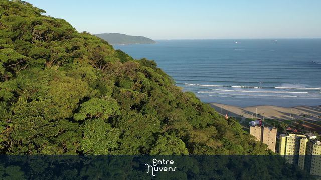 Vista panorâmica da orla de Santos com vegetação e montanhas ao fundo