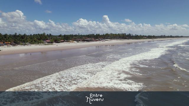 Voo Aéreo Baixo Recuando Sobre a Praia e Coqueirais de Canavieiras, Bahia - 4K — vídeo aéreo de Luís Correia
