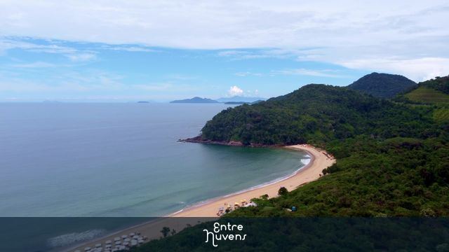 Vôo saindo da mata atlântica e indo em direção a costeira da praia em 4k